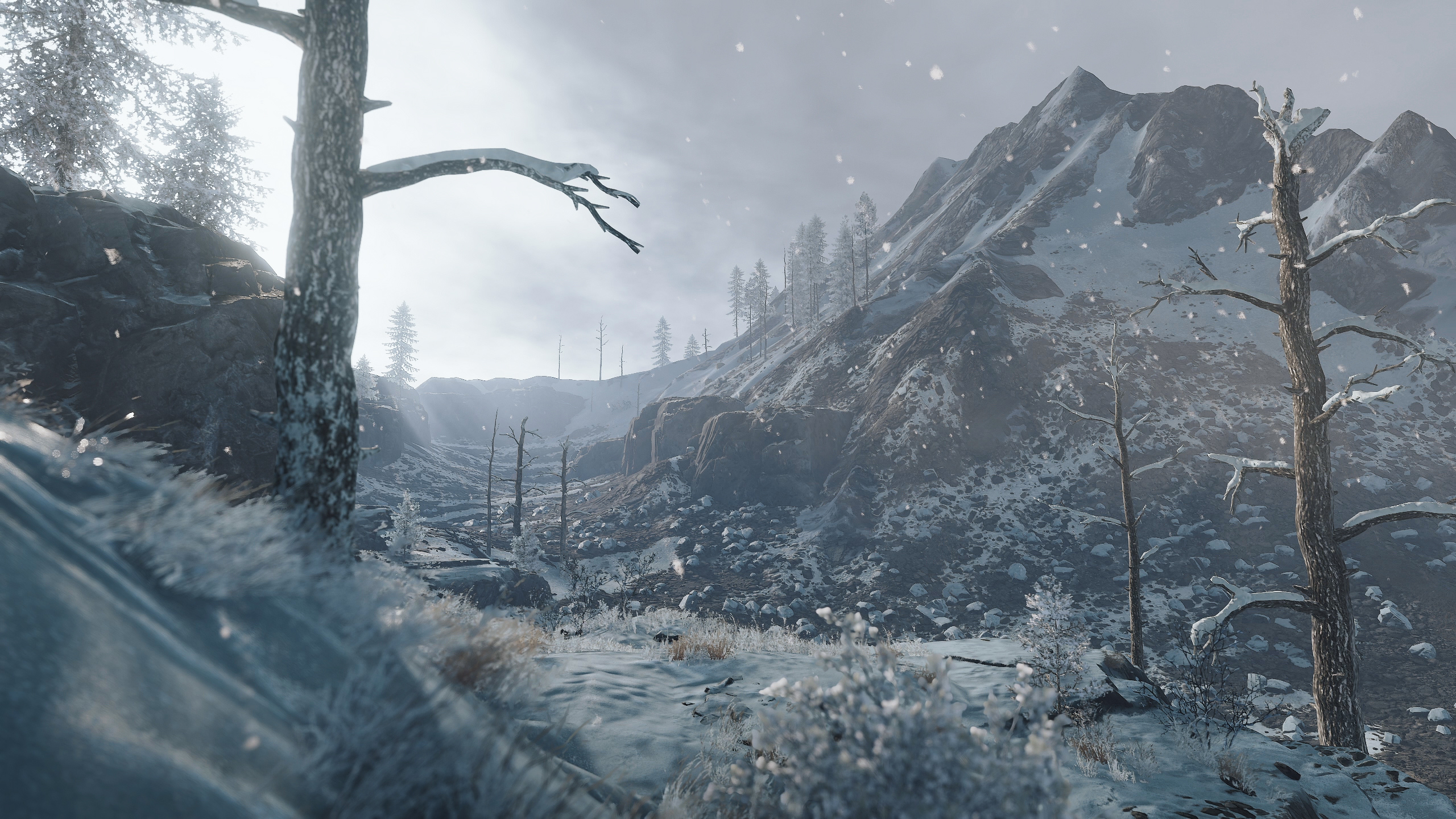 Rust solar panels and wind turbines